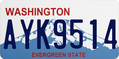 WA license plate AYK9514