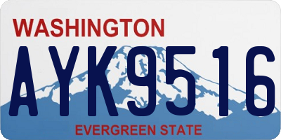WA license plate AYK9516