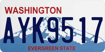WA license plate AYK9517