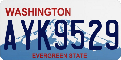 WA license plate AYK9529