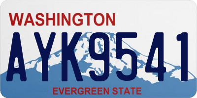 WA license plate AYK9541