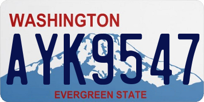 WA license plate AYK9547