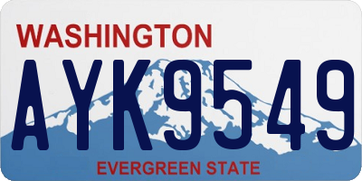 WA license plate AYK9549