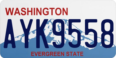 WA license plate AYK9558