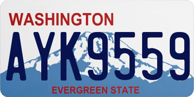 WA license plate AYK9559
