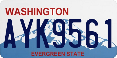 WA license plate AYK9561