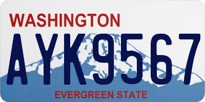 WA license plate AYK9567