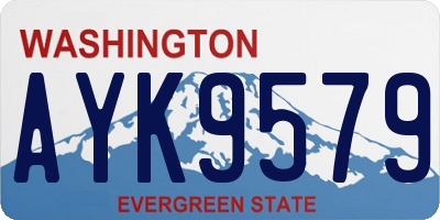 WA license plate AYK9579