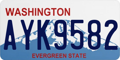 WA license plate AYK9582