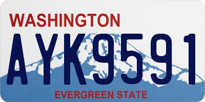 WA license plate AYK9591
