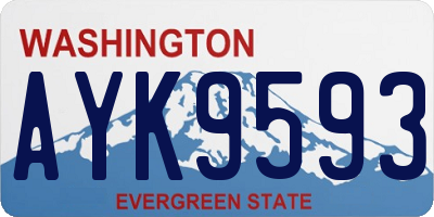 WA license plate AYK9593