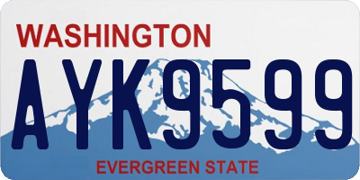 WA license plate AYK9599