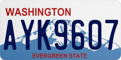 WA license plate AYK9607