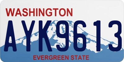 WA license plate AYK9613