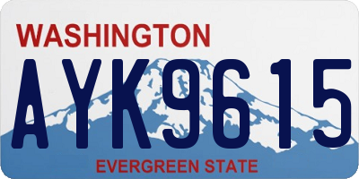 WA license plate AYK9615