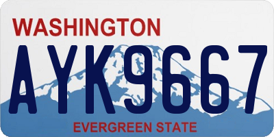 WA license plate AYK9667