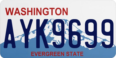 WA license plate AYK9699