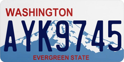 WA license plate AYK9745