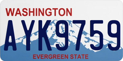 WA license plate AYK9759