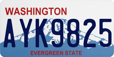 WA license plate AYK9825