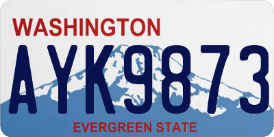 WA license plate AYK9873