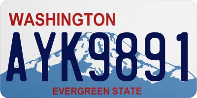 WA license plate AYK9891