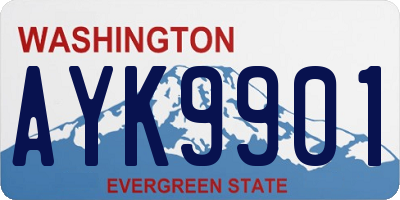 WA license plate AYK9901