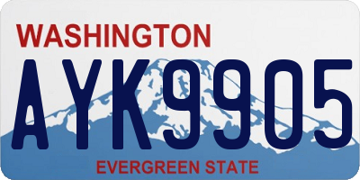 WA license plate AYK9905