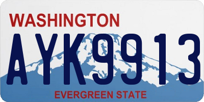 WA license plate AYK9913