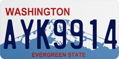 WA license plate AYK9914