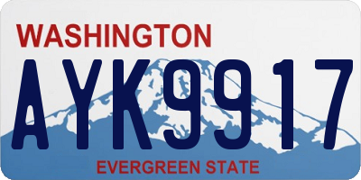 WA license plate AYK9917