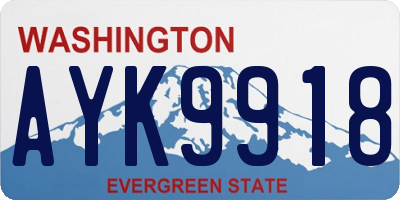 WA license plate AYK9918