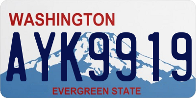 WA license plate AYK9919