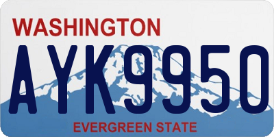WA license plate AYK9950