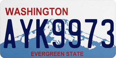 WA license plate AYK9973