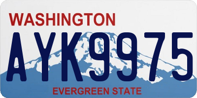 WA license plate AYK9975