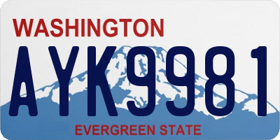 WA license plate AYK9981