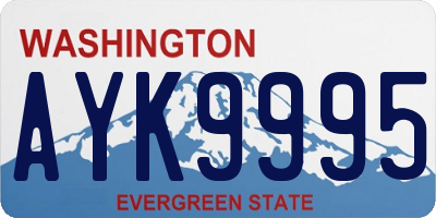 WA license plate AYK9995