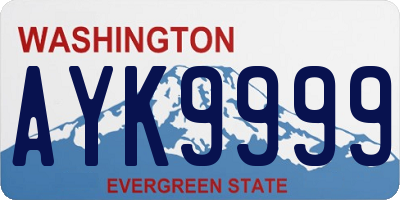 WA license plate AYK9999