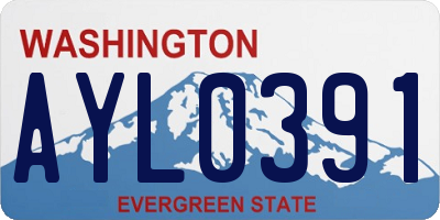 WA license plate AYL0391