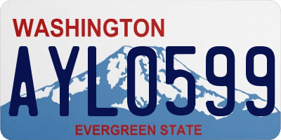 WA license plate AYL0599
