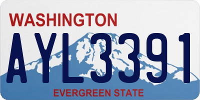 WA license plate AYL3391