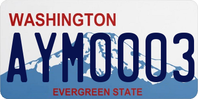 WA license plate AYM0003