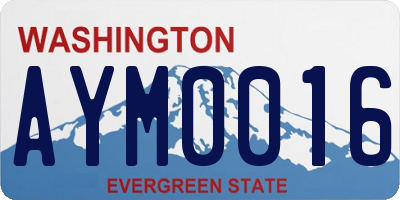 WA license plate AYM0016