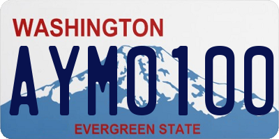 WA license plate AYM0100
