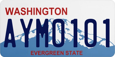 WA license plate AYM0101