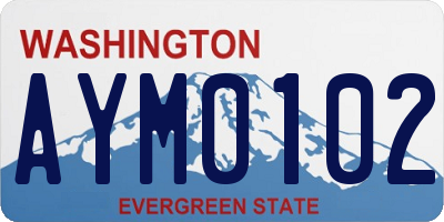 WA license plate AYM0102