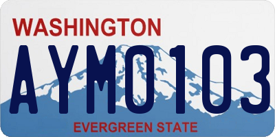 WA license plate AYM0103