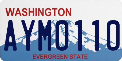 WA license plate AYM0110