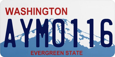 WA license plate AYM0116